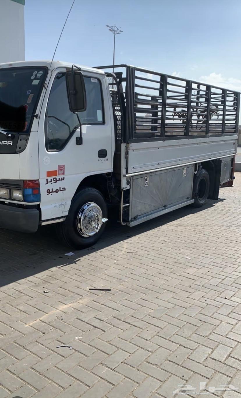 دينه شرق الرياض ى قل64457779095299110