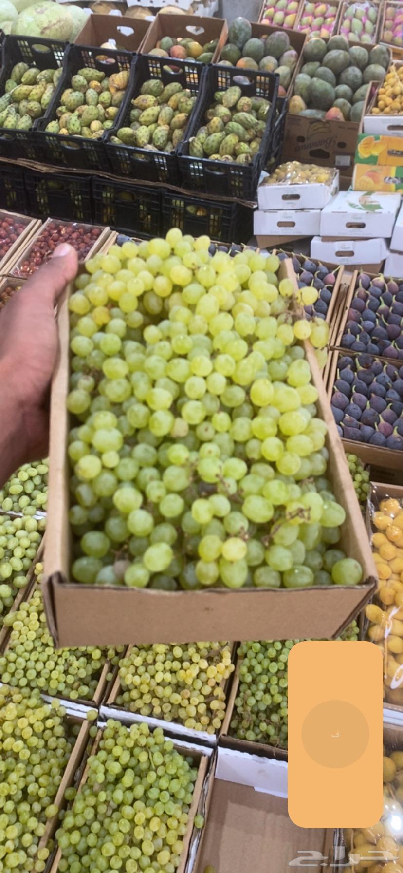 خضروات وفواكه مندوب64403901032449110