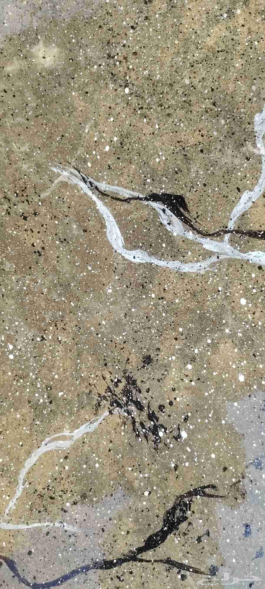 ارضيات ايبوكسي بجميع الالوان وترخيم بفضل الله سبحانه64422975498115114