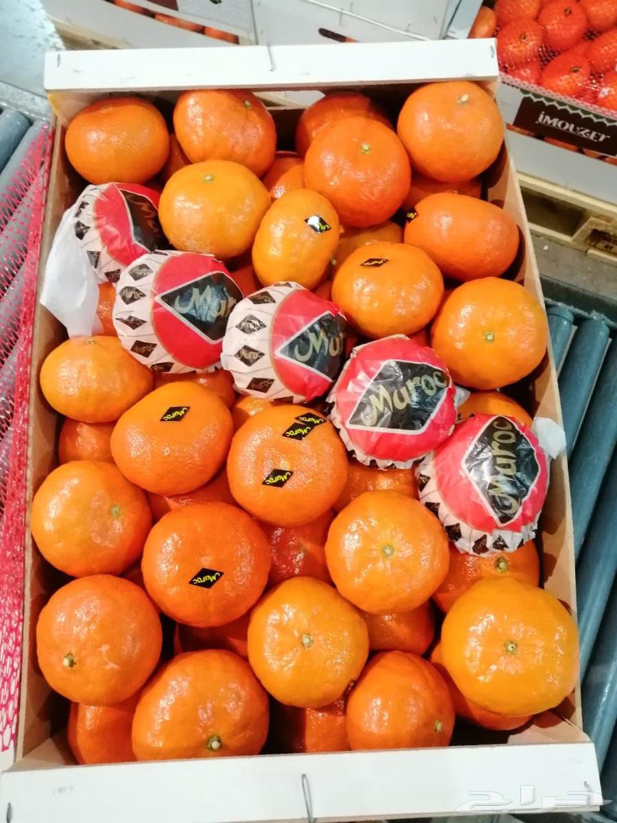 توريد جميع الخضروات من دوله المغرب لكل دول الخليج العربي64422895785473113