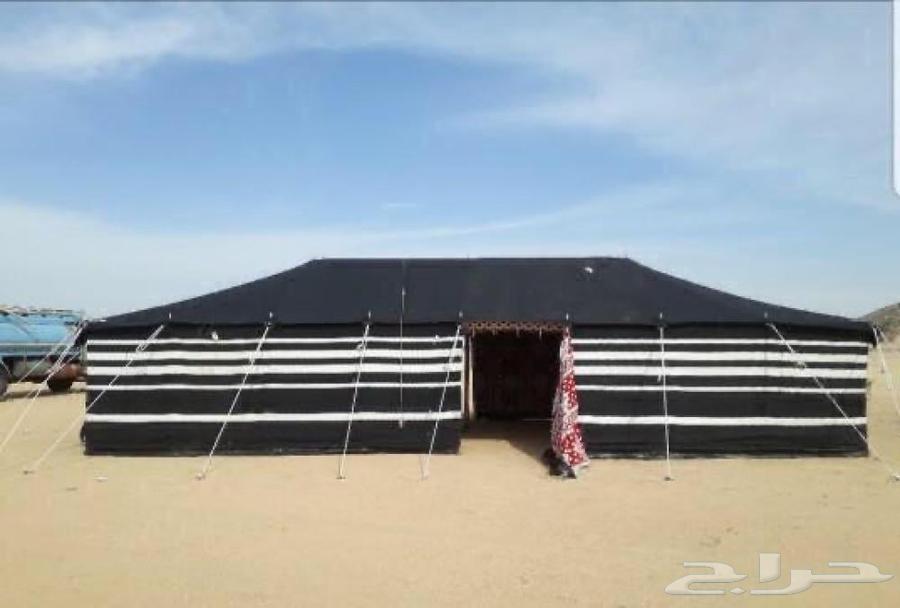 تركيب بيوت شعر حفر الباطن فني بناء بيوت شعر64423069597058110