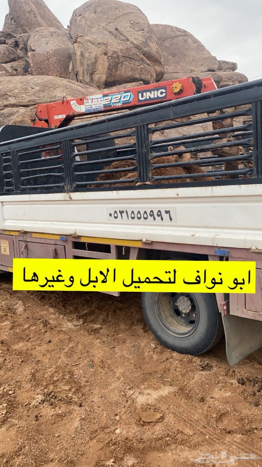 دنا ونش64423212762625110