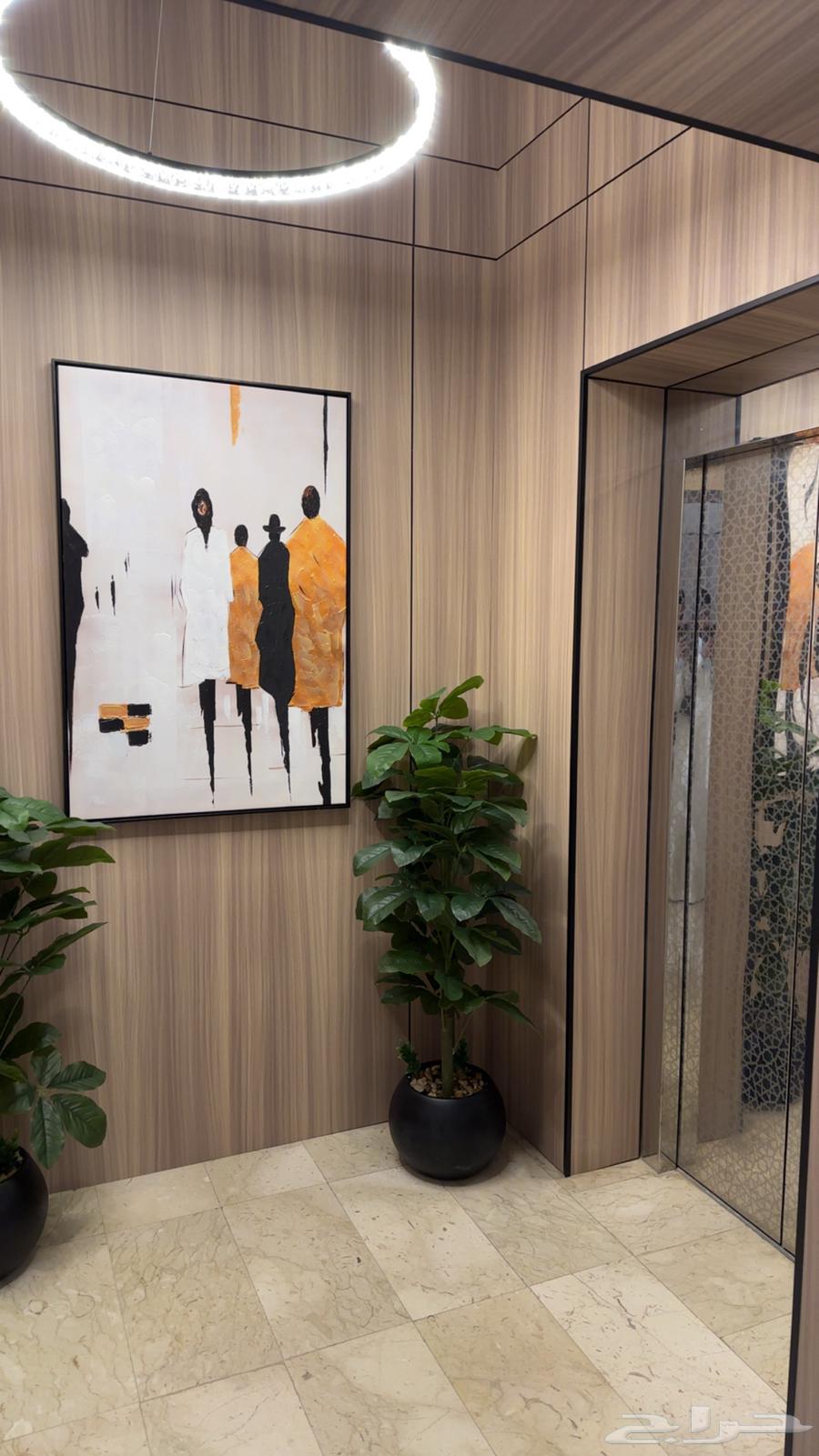 ديكورات - شيبورد - دهانات - جبسيات64423276211843114