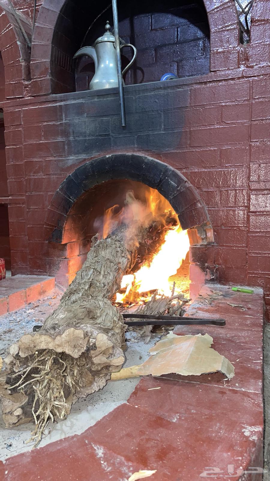 حطب عنب64423291776514112