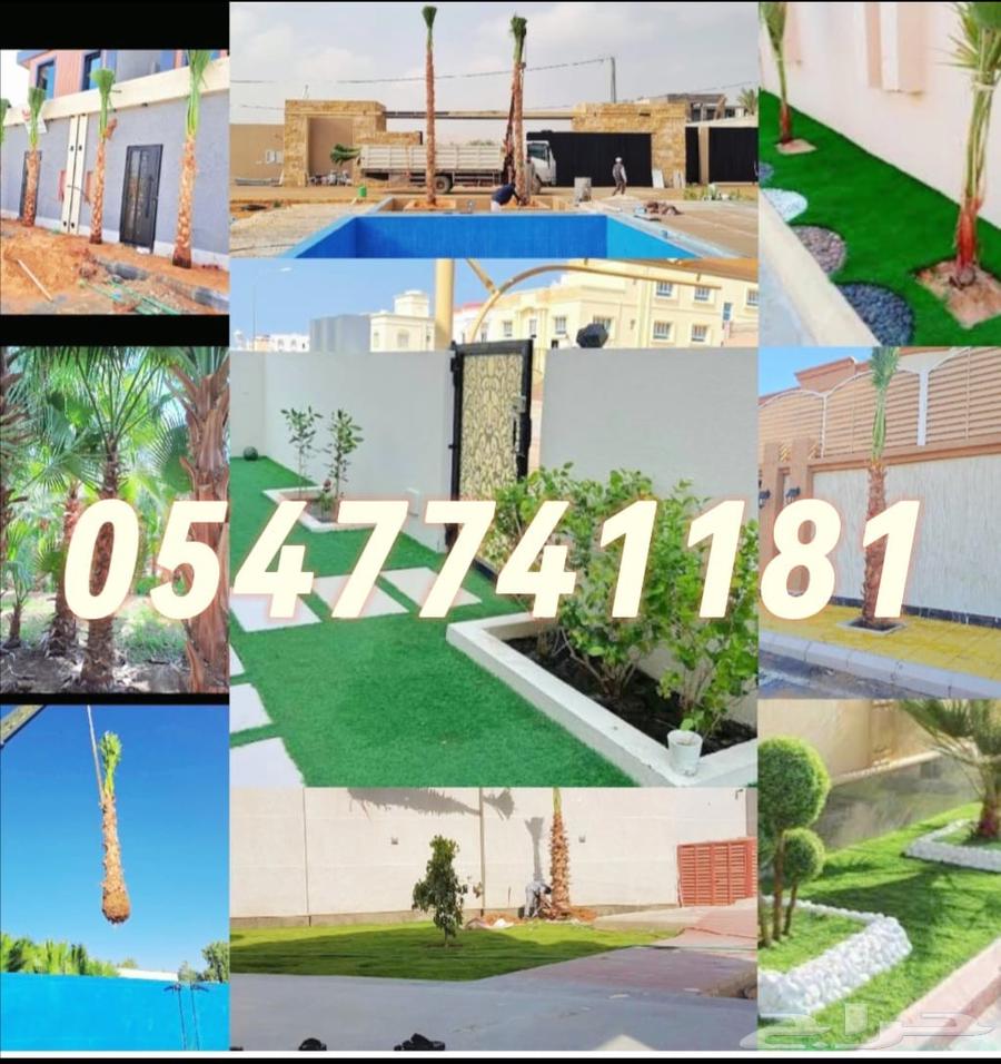 قص وتقليم النخيل والأشجار وتنسيق الحدائق64423181745537110