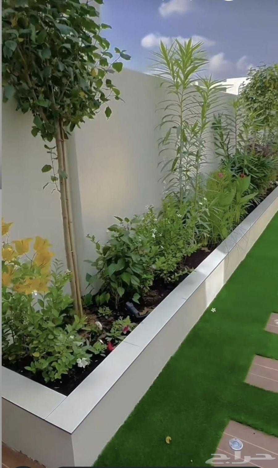 زراعه الاشجار الطبيعي والنباتات والزهور64423213014529110
