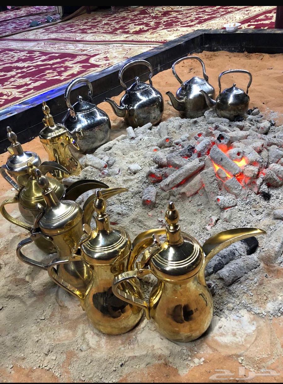 قهوجي الصياهد64473022754050110