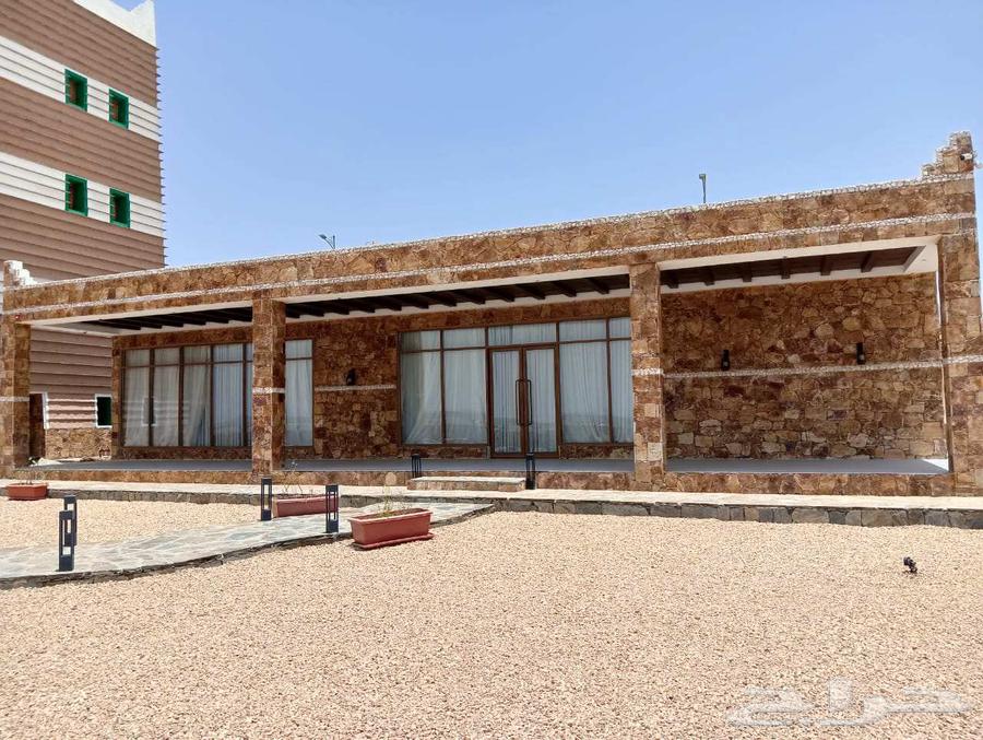 Stone cladding mason for courtyards64423070374403112