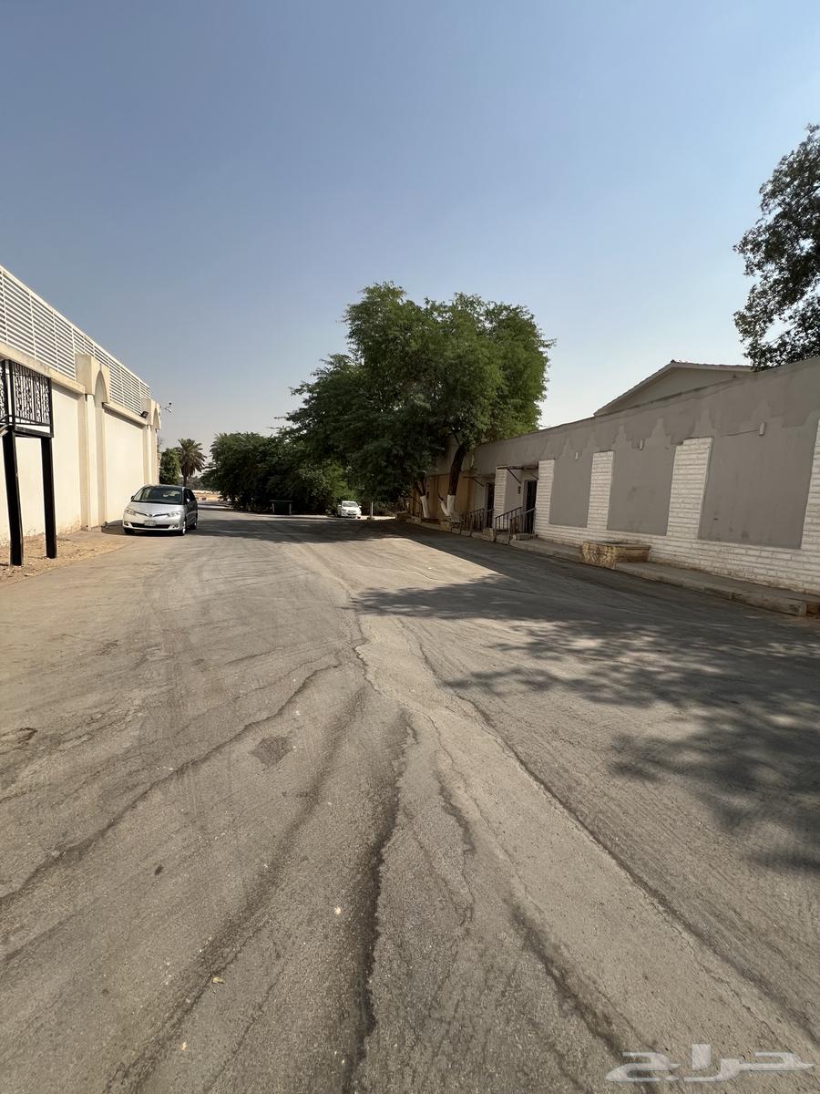 شقة للإيجار