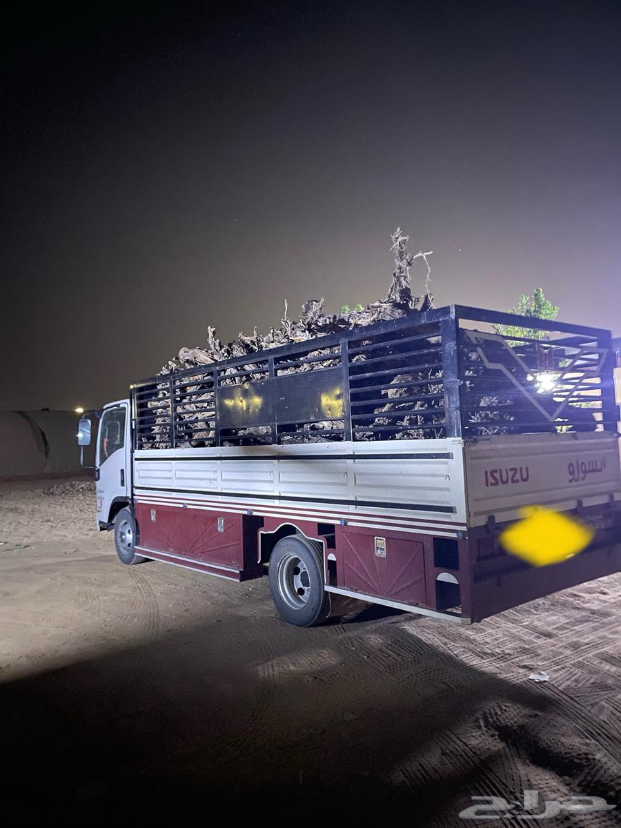 حطب عنب64423291776514110