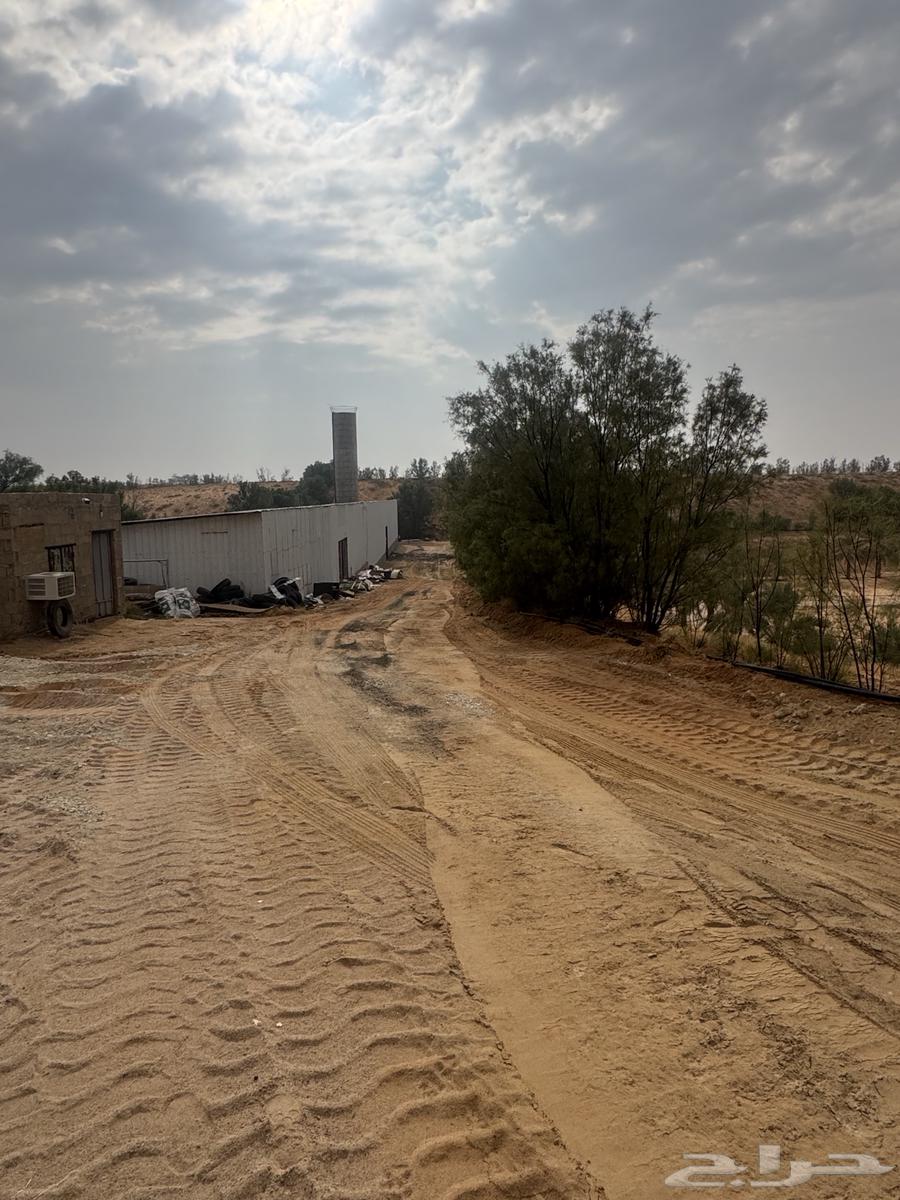 اسفلت ومبشور64423166430849113