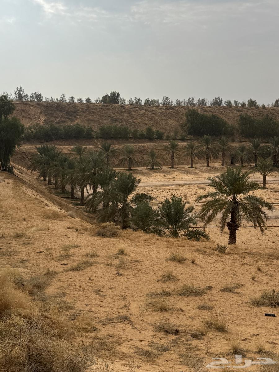 اسفلت ومبشور64423166430849111