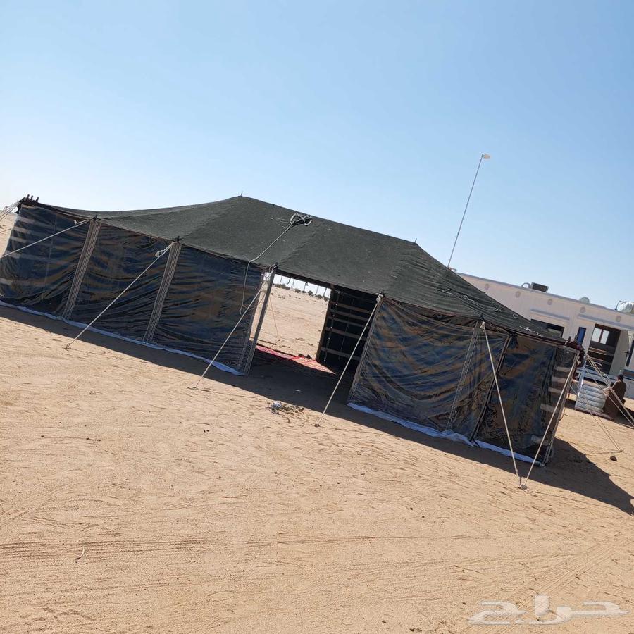 بيوت شعر تركي كبيره وصغير دورات مياه64423149836547114