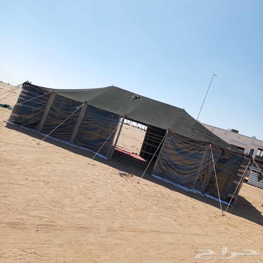 بيوت شعر تركي كبيره وصغير دورات مياه64423149836547113