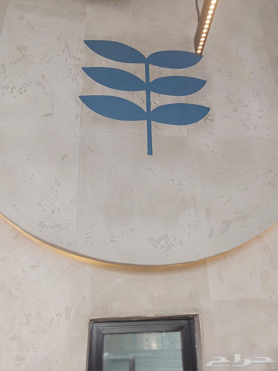 مقاول ديكورات دهانات ساده ورق جدران داخلى خارجى جرافت بجده64423260119938110