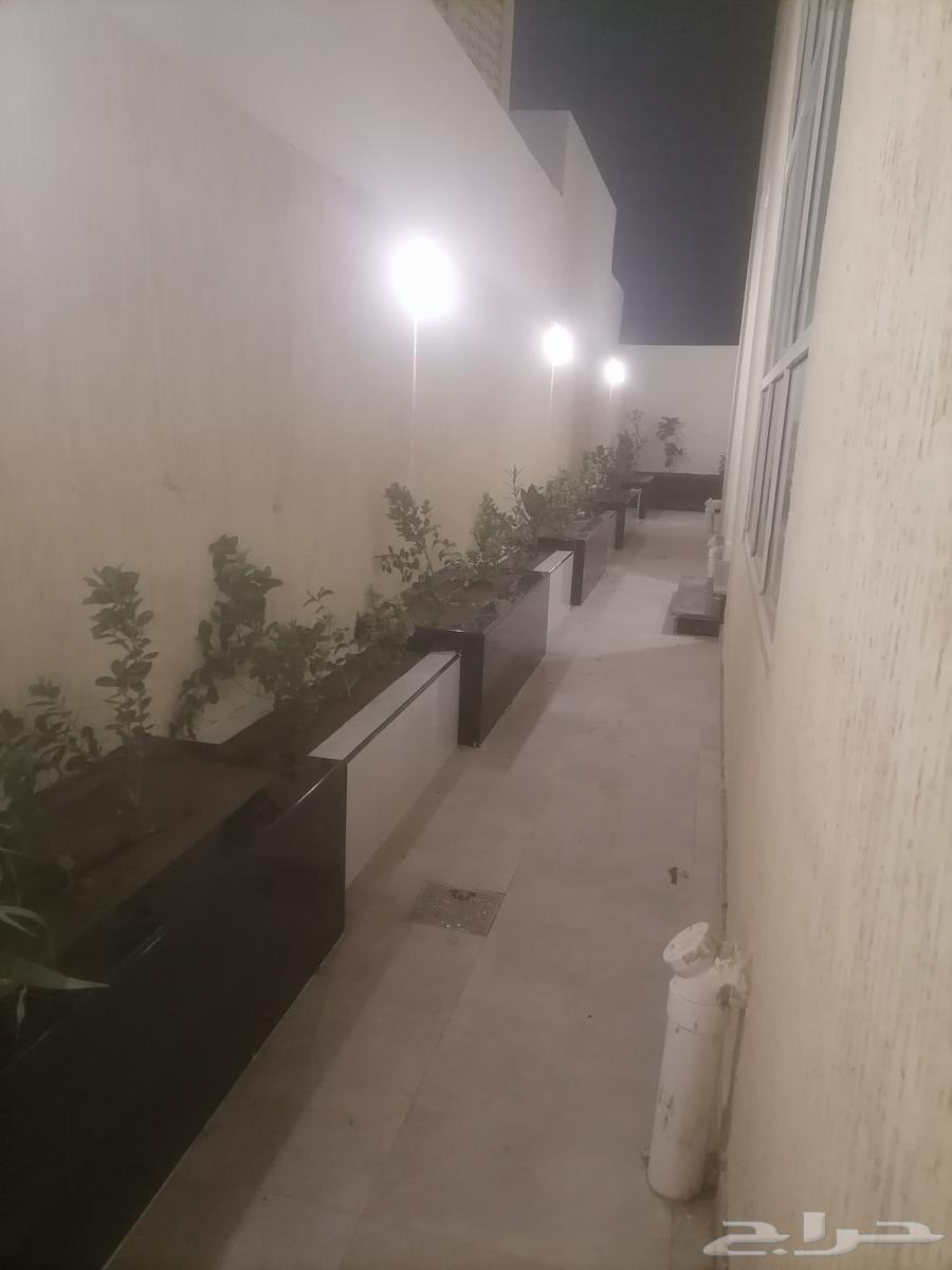 Specialists in garden design, pergolas, waterfalls, fountains, irrigation networks, pools, buildings, industrial planting, natural and artificial grass, garden decorations, wood cladding, marble alternatives, tiles, pathways, Jazan, Gizan, Abu Arish, Sabia, Al-Dhiba, Damad, urban planning, southern region, Kingdom of Saudi Arabia64423054282626111