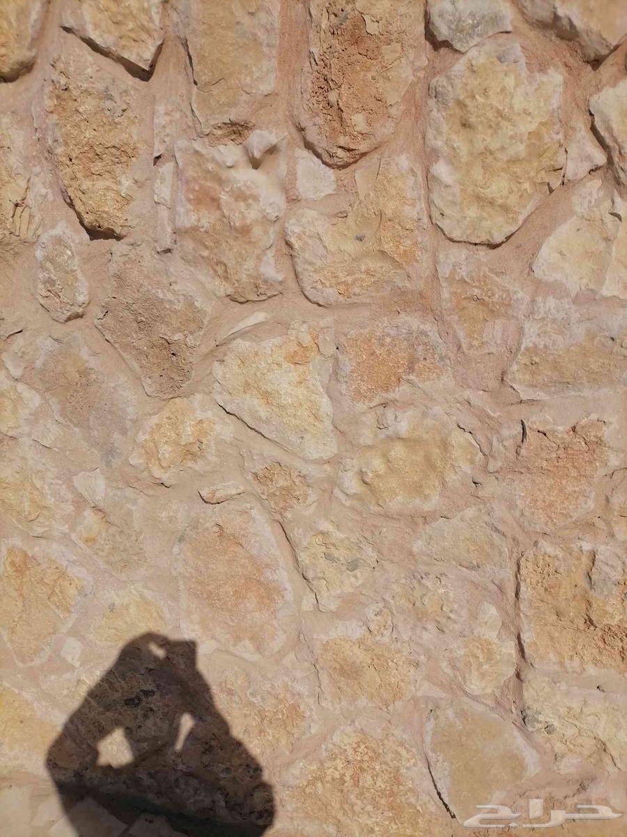 Block and bulldozer construction and installation of all types of interlock and any masonry work64423069481346113