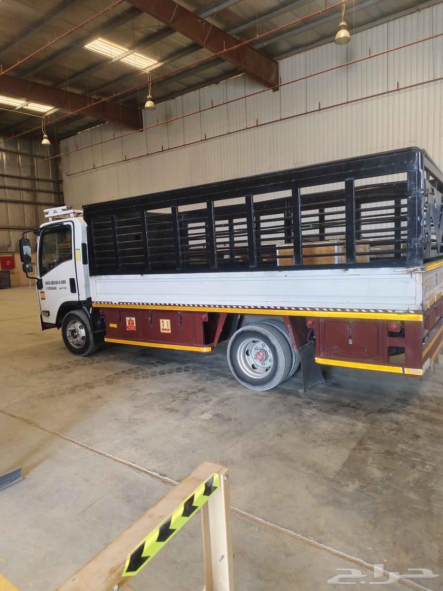 دينا داخل خارج من دمام الى رياض القصيم مدينة جده ينبو املج ض64423085752705110