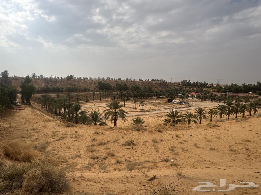 اسفلت ومبشور64423166430849110