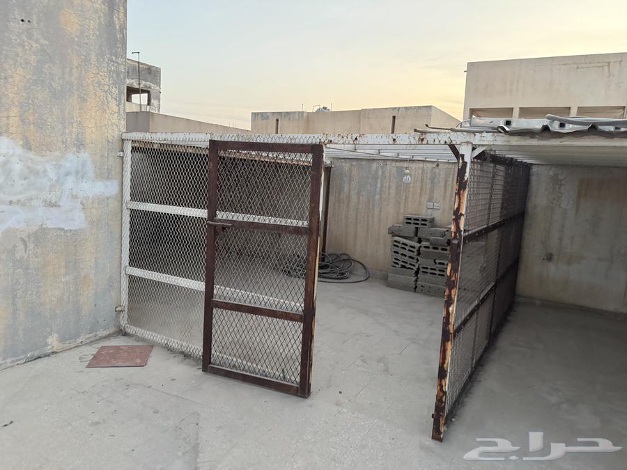 حديد شبك قفص64423021433858111