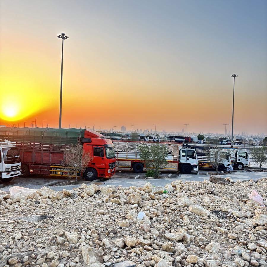 مسكس لوري للنقل 8 متر أغنام عفش صناعي كل ما يلزم للنقل64423149564546111