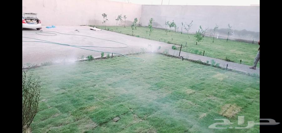 شبكة رأى تنسيق حدائق64423069371265114