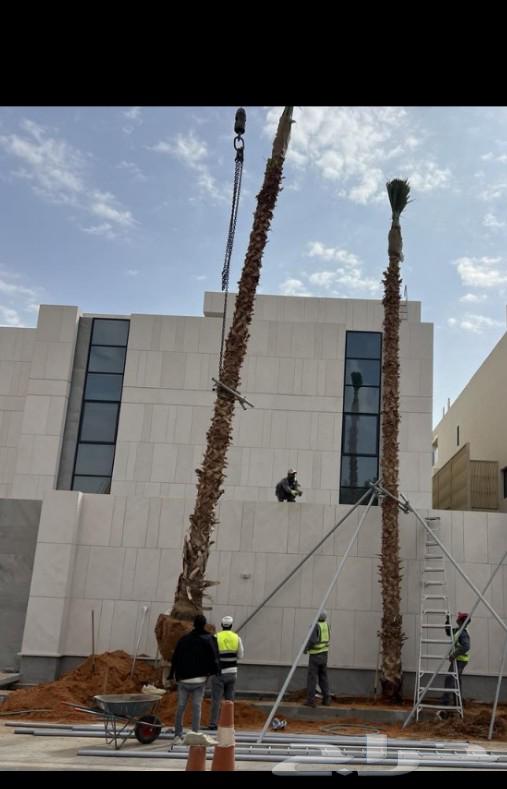 نقوم بجميع اعمال نخيل64473373826561113