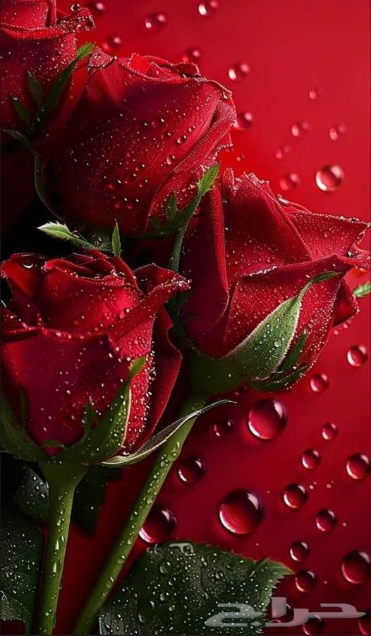 متاح مساج منزلي بمكه للنساء والرجال مختصين ومختصات64423276266625110