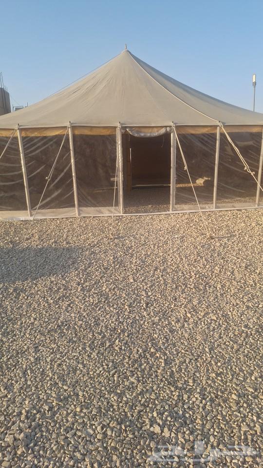 بيوت شعر تجهيز مخيمات64423181777667110