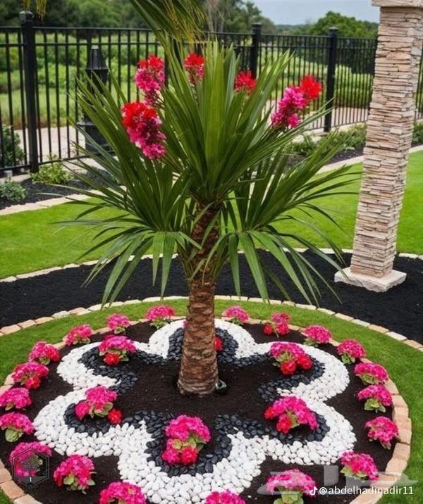 شبكة رأى تنسيق حدائق64423069371265110