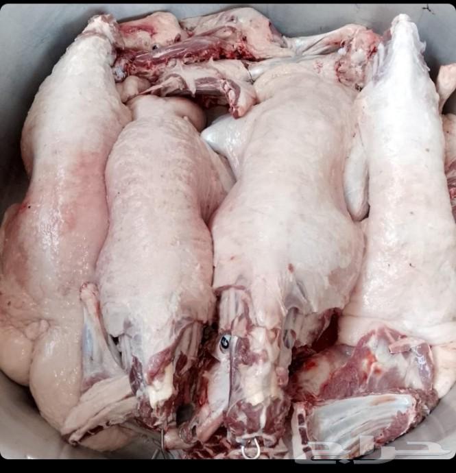 طباخ متنقل داخل الرياض وخارج الرياض الجميع المناسبات الحفلات64422990908673111