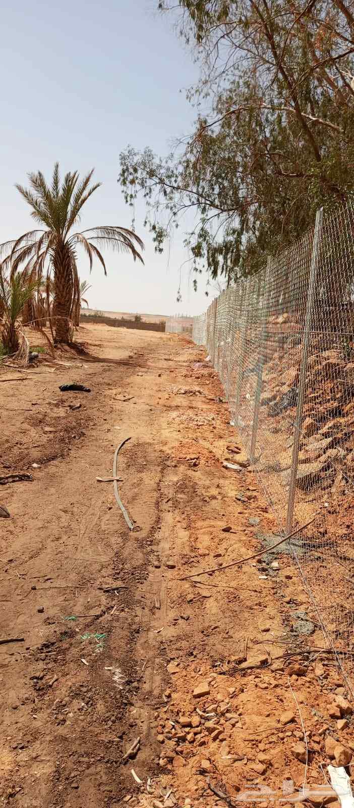 Farm Mesh Contractor Supply and Installation with Warranty, Fast Completion64423118543234110