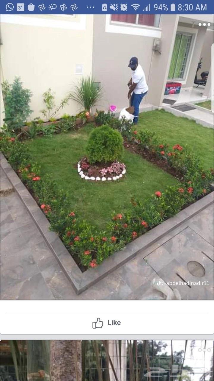 شبكة رأى تنسيق حدائق64423069371265113