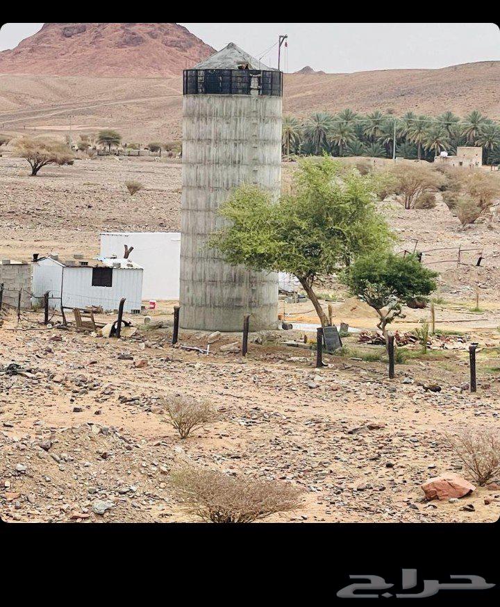 المعلم رحمان افغانى شغل خزانات ديرى سبه خق المزراع64423118056579112