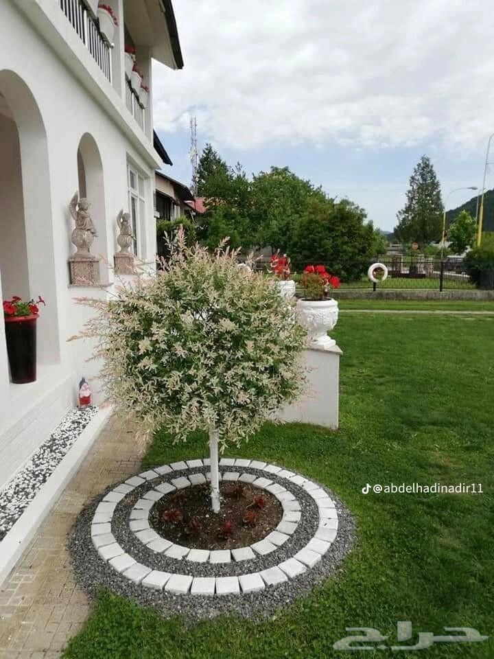 شبكة رأى تنسيق حدائق64423069371265112