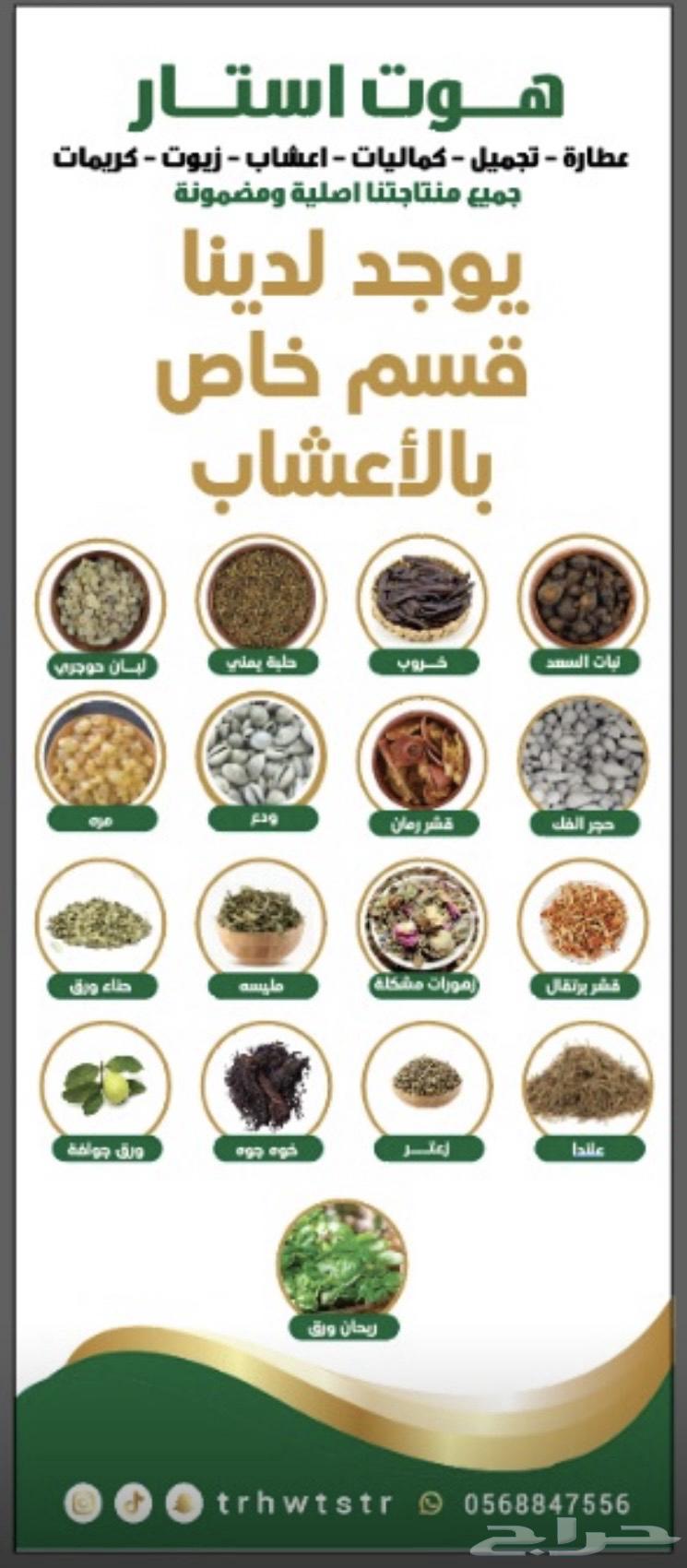 Design, printing, and implementation of roll-ups and stickers64423198507523111