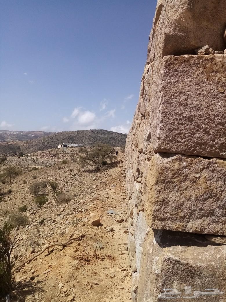 معلم حجر بنا تلبس ربراب64423228599554110