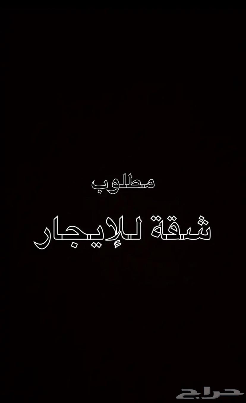 السلام عليكم مطلوب شقة للإيجار عوائل64423148571778110