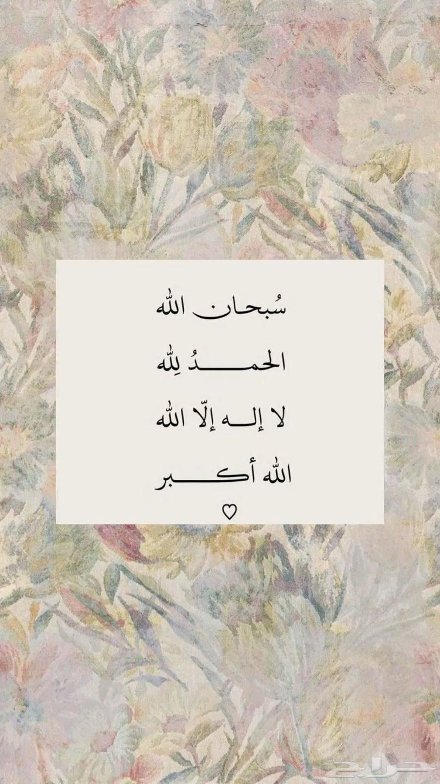 مطلوب شقة مفروشة قريبة من الجامعة64423164958851110