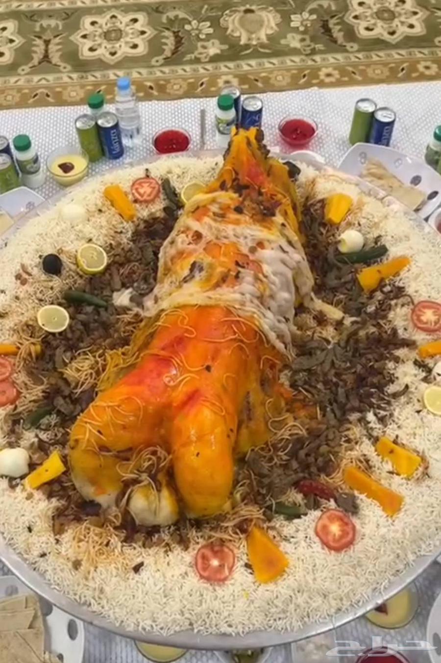 طباخ الصياهد مهرجان الملك عبد العزيز64481127976578112