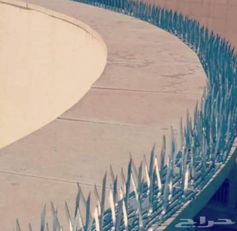 شركة تركيب طارد اشواك الحمام بمكة شركة مكافحة حشرات بمكة64423353648386111