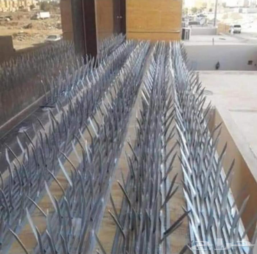 شركة تركيب طارد اشواك الحمام بمكة شركة مكافحة حشرات بمكة64423353648386114