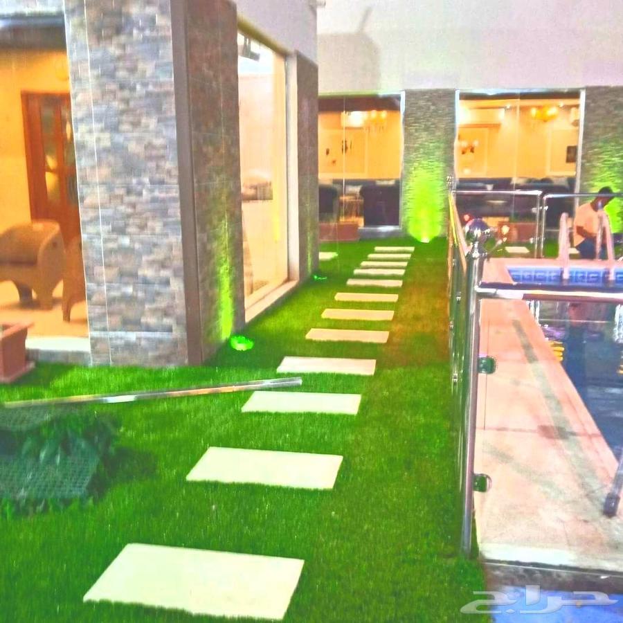 Specialists in the field of artificial grass and wall greening installation64457906574850112