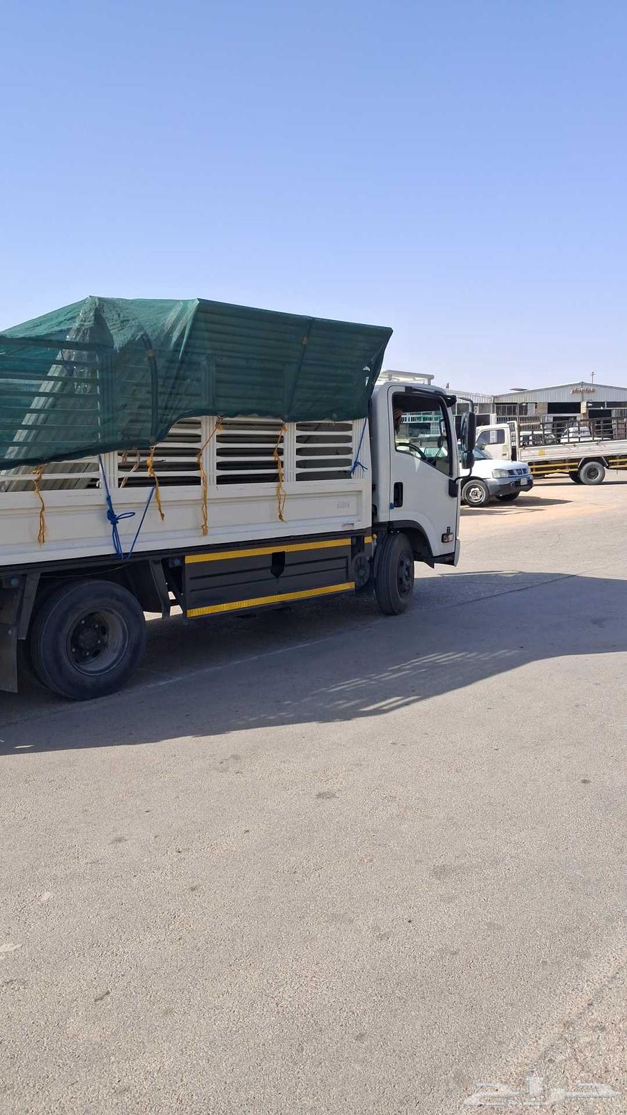 Furniture transportation and moving in and out of Riyadh64458022810113110