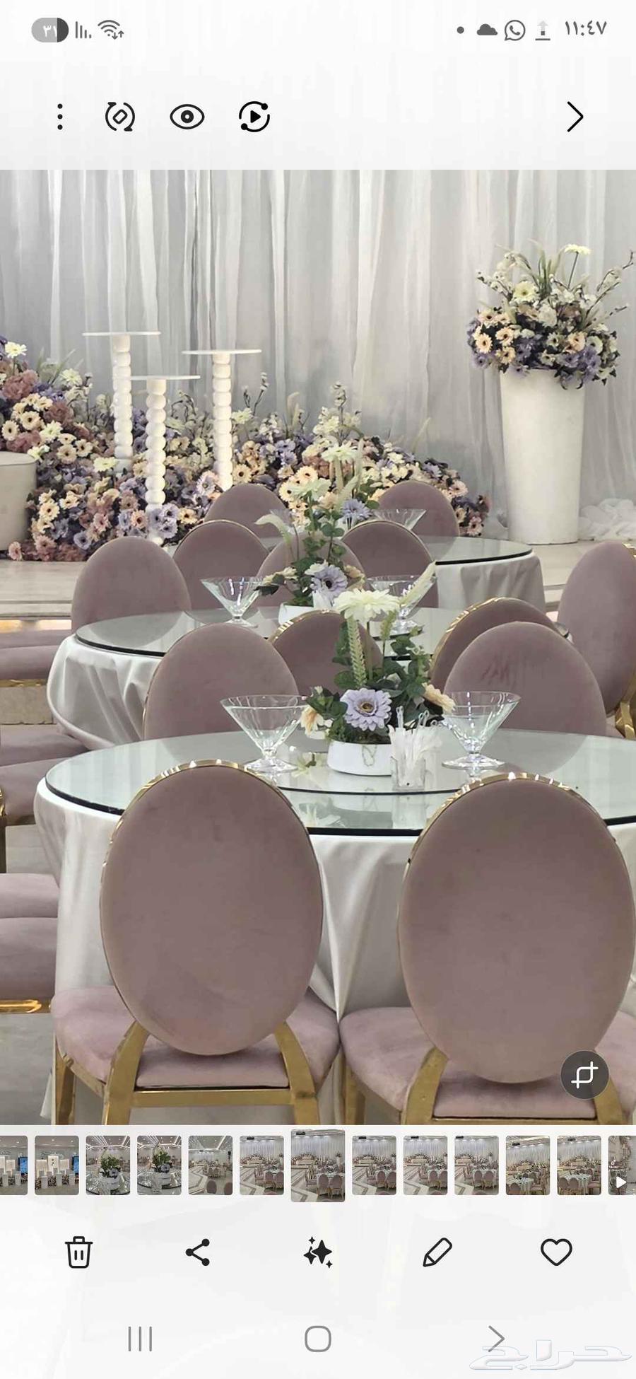 كوش الطائف64423353553281111