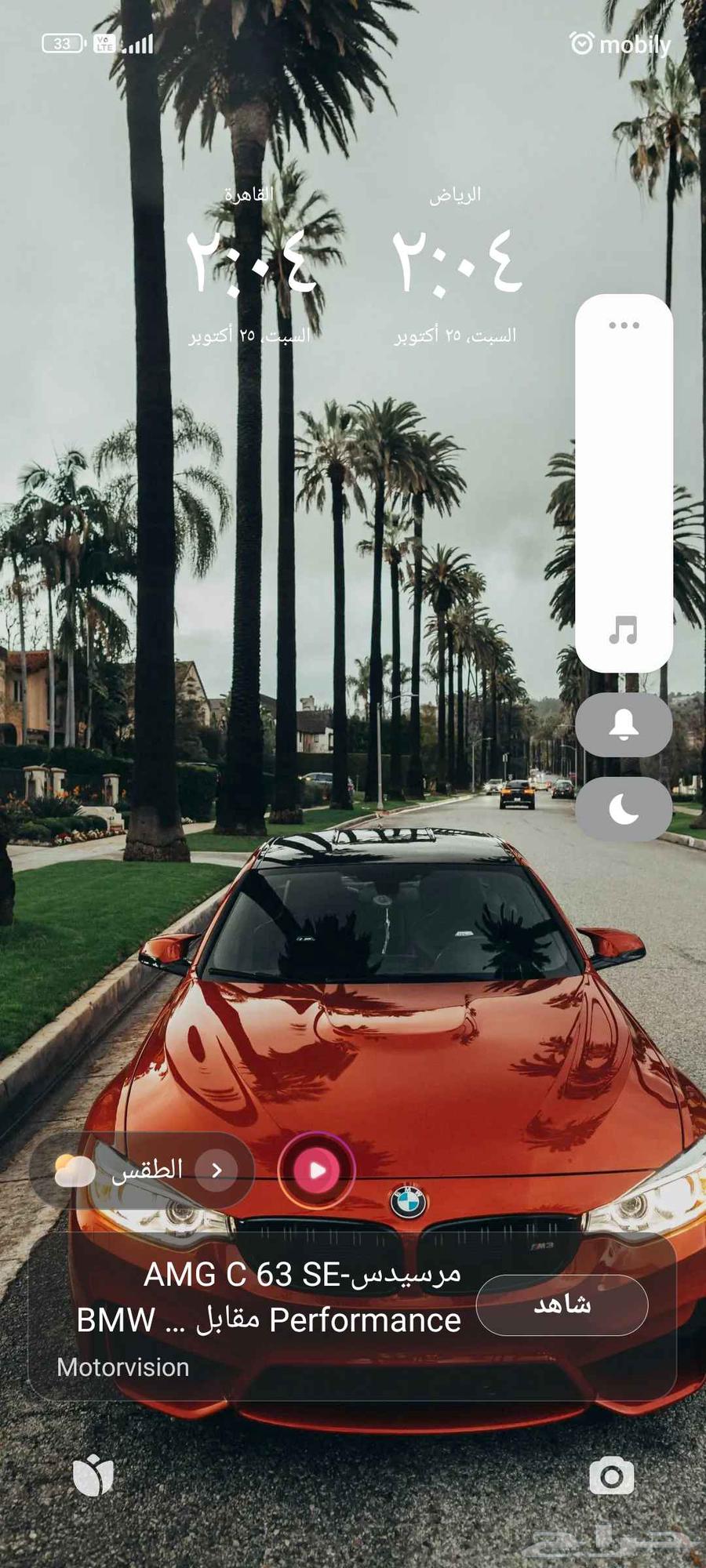 قص الشجرة النخيل وصيانة الحدائق64457888641409110