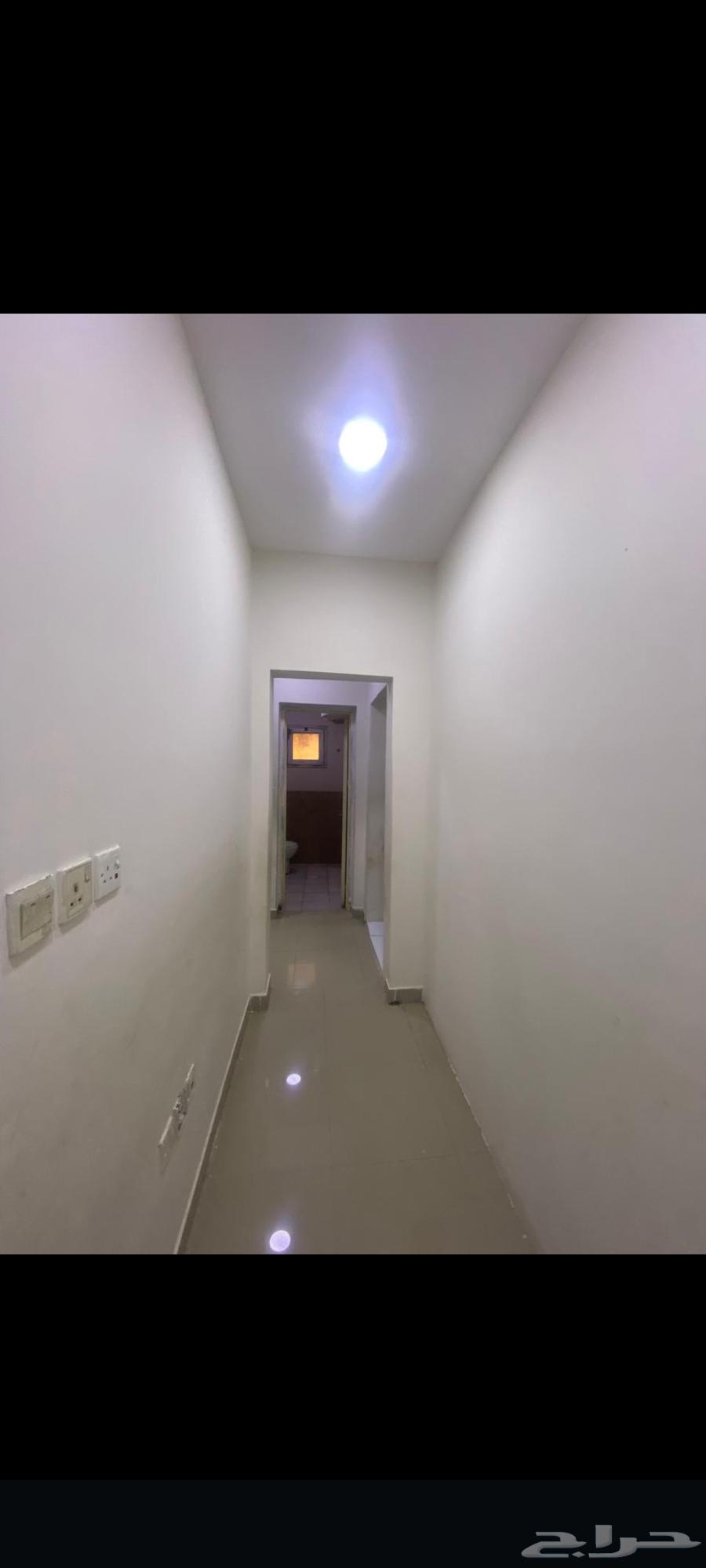 صباغ دهانات64458258679553113