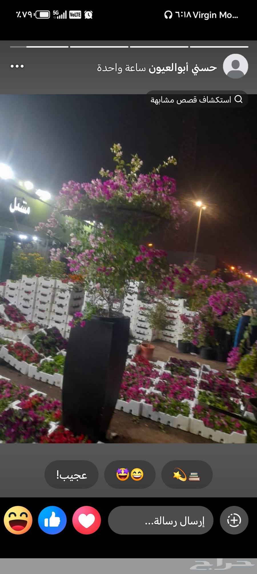 ابومحمد لتنسيق الحديق64423338607490112