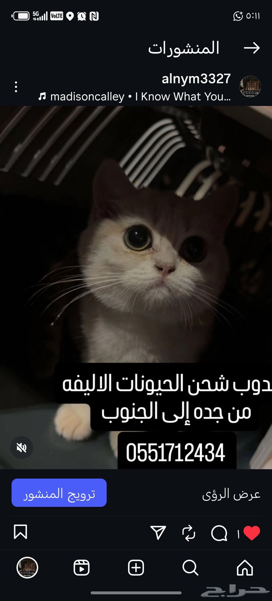 موصل حيوانات أليفة قطط طيور64538134489859110