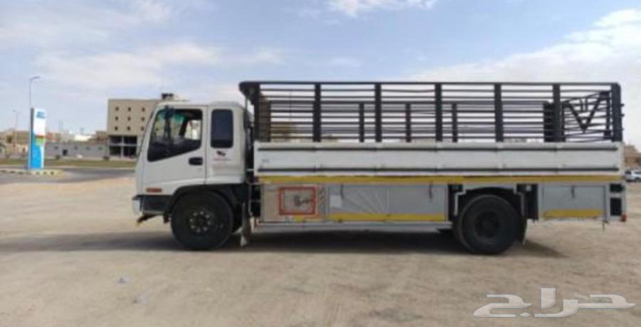 دينه لوري نقل البضائع والعفش انحاء المملكه64458023213698110